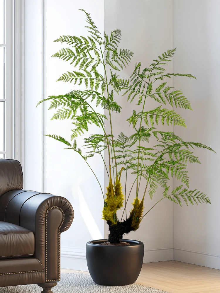 Dracaena Marginata - Großer simulierter goldener Affenfarn, grüne Pflanze,