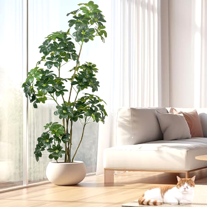 74in tropischen Baum große kün – Dracaena Marginata Bewertung und Preis