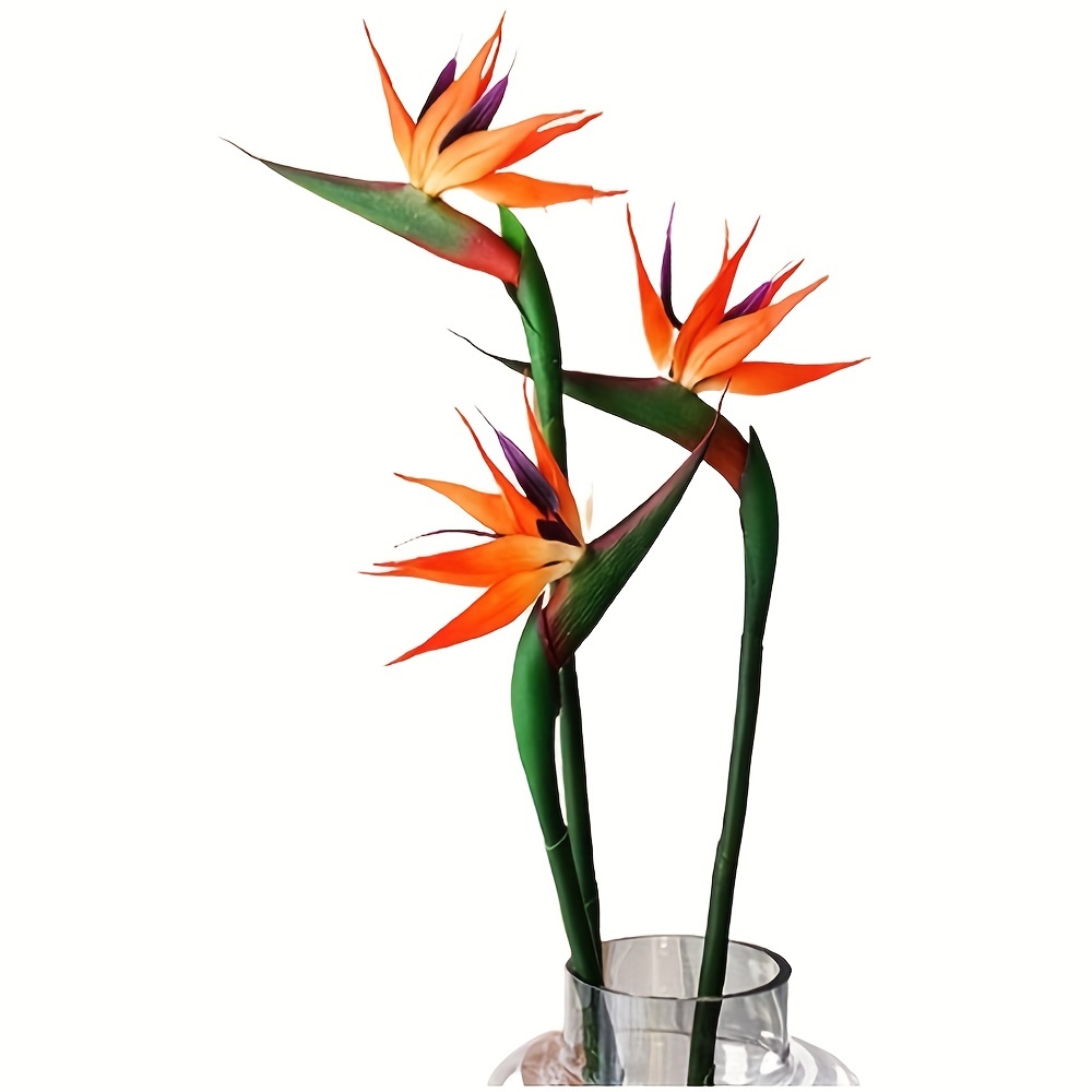 3 Stück künstliche Paradiesvog – Bird Paradise Strelitzia Bewertung und Preis