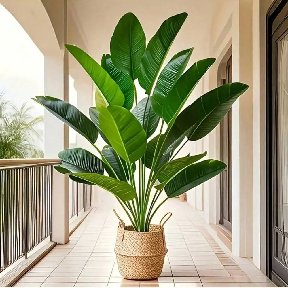 1 Stück 18 Blätter künstliche  – Monstera Adansonii Bewertung und Preis