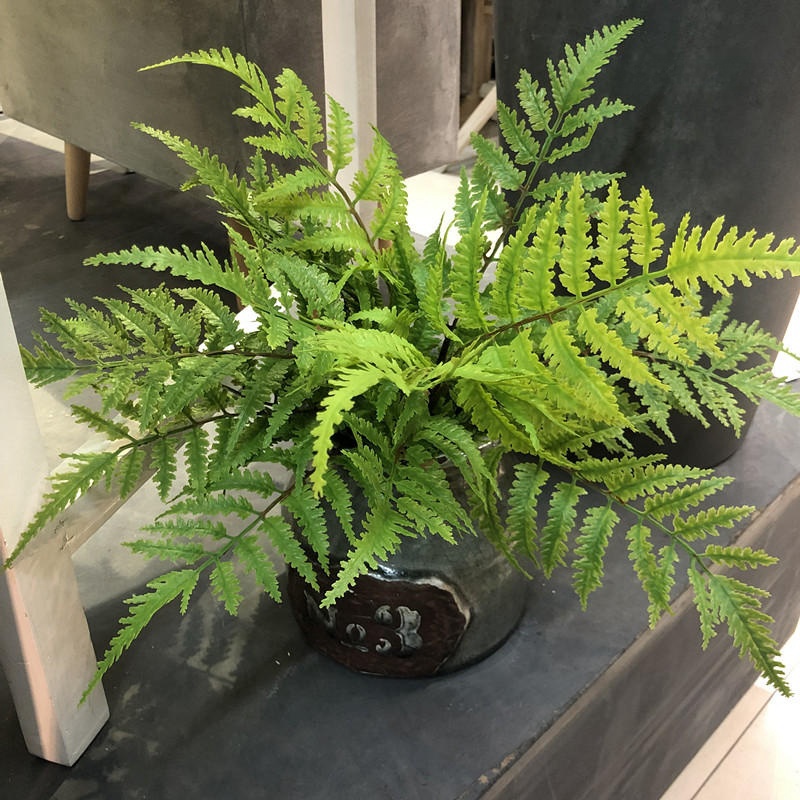 1 Stück künstliche Pflanzen Sc – Dracaena Marginata Bewertung und Preis