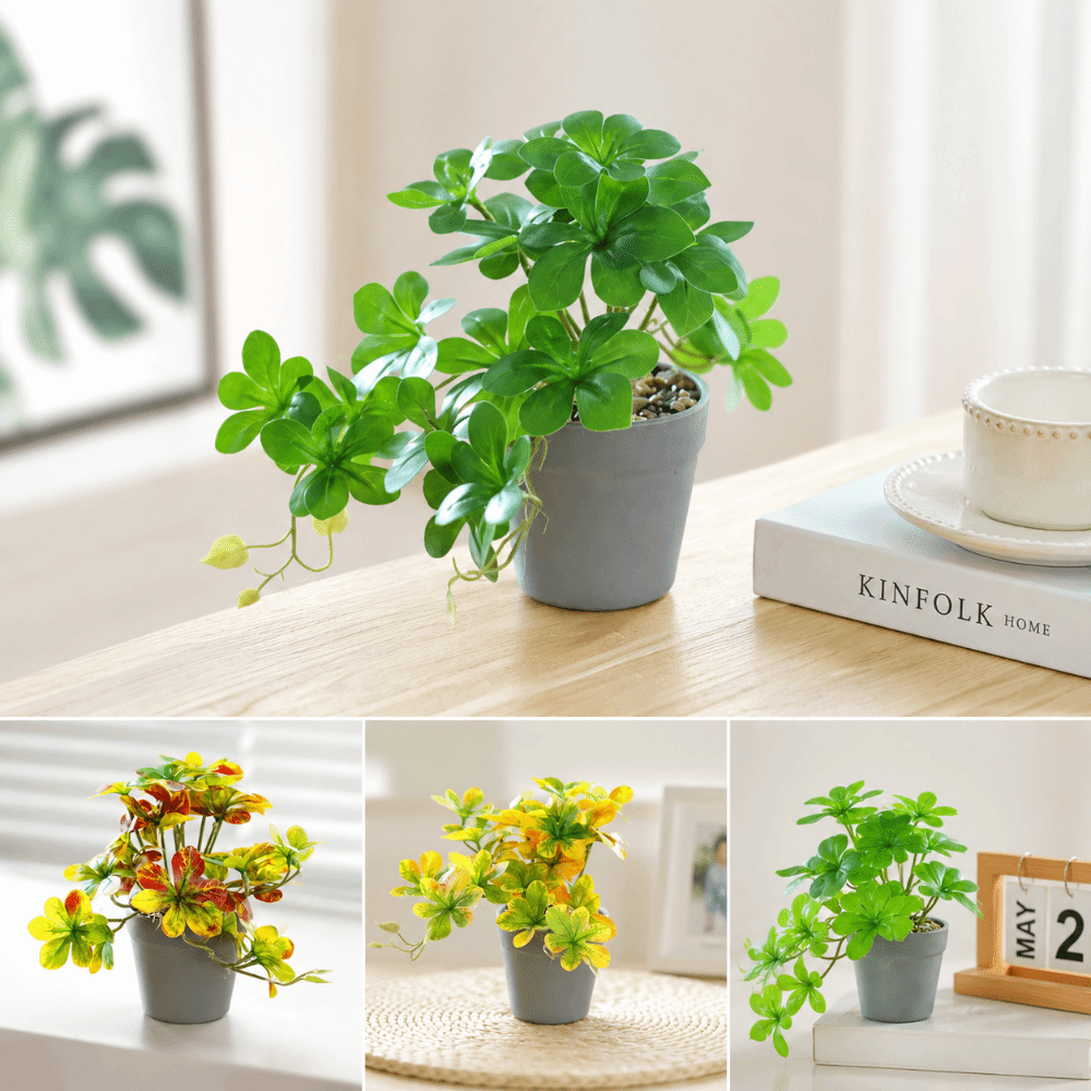 Künstlicher Bonsai, Künstliche – Spider Plant Hanging Bewertung und Preis